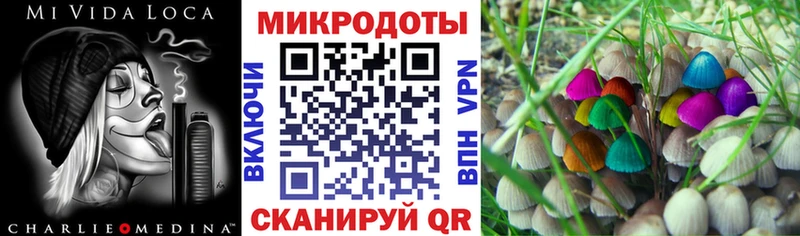 Галлюциногенные грибы Cubensis  Рыбное 